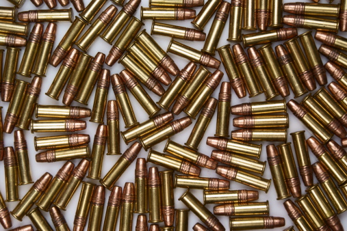 assorted .22 caliber ammunition bullets on a white background