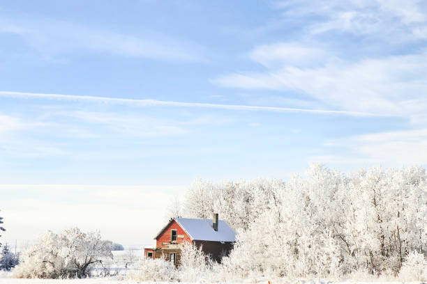 istock Abandoned brick house nestled in trees 1470634077
