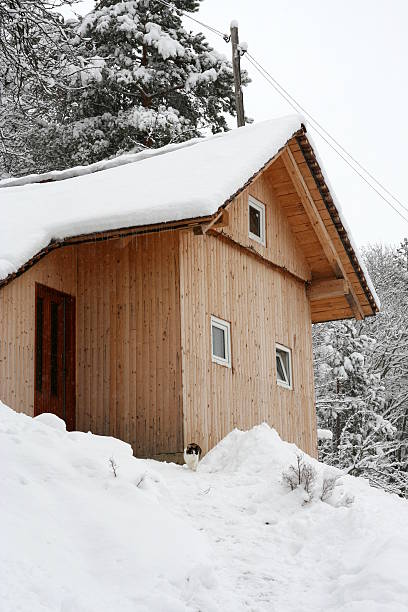 istock Cat in front of log cabin 147063945