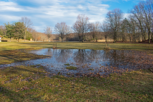 Reflective Puddle at Cheesequake State Park -02