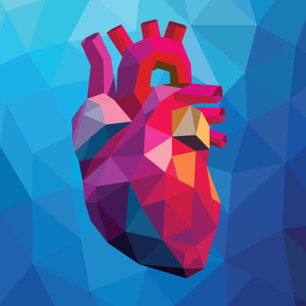 Human Heart Low Poly Colorful Vector illustration of a human heart against a blue background in low poly style. everyday item stock illustrations