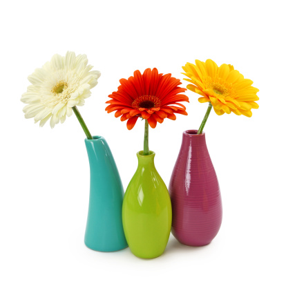 Flowers in vases isolated on white background