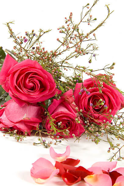 istock Bunch of pink roses isolated on white 147064502