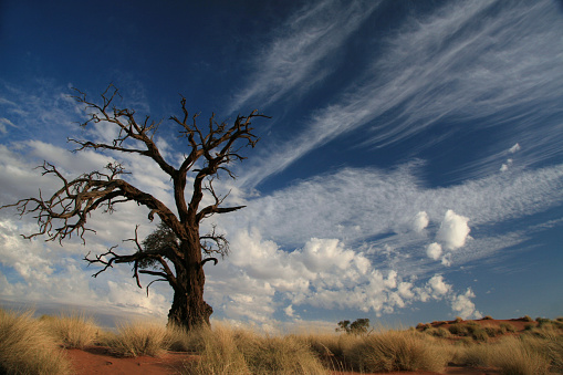 Description: A spectacular day on the dunes. Namibrand, Namibia