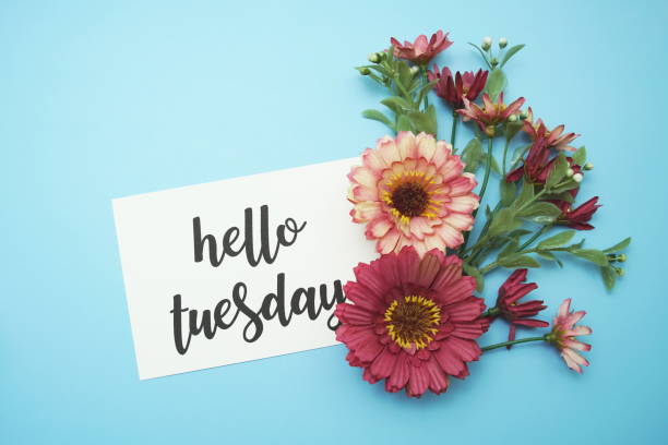 istock Hello Tuesday typography text with daisy flowers on blue background 1470650051