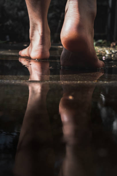 women's feet, up on a tree trunk with water in the background. bare feet of woman