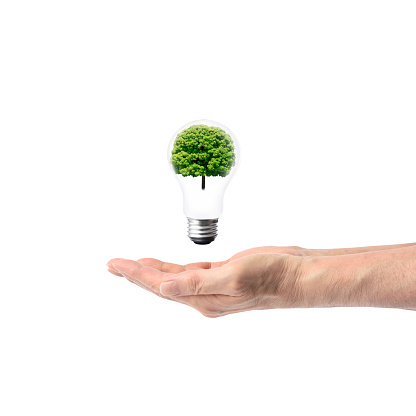 Close-up of light bulb floating from hand in mid-air with a camphor tree inside, against white background.
Concept of clean energy and Sustainable environment.
