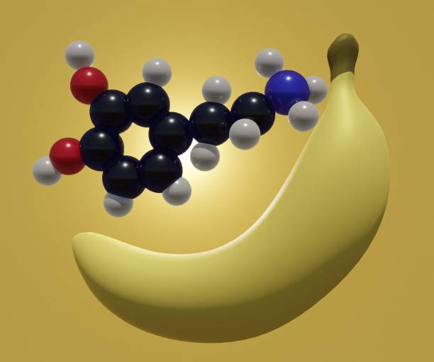 istock dopamine molecule and ripped yellow banana 1470652973