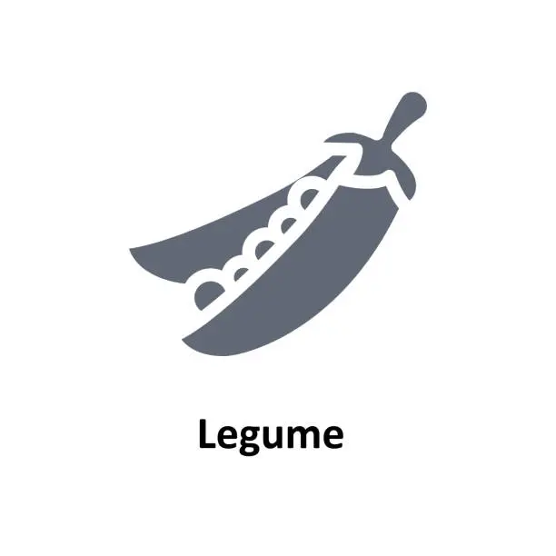 Vector illustration of Legume  Vector   Solid Icons. Simple stock illustration stock