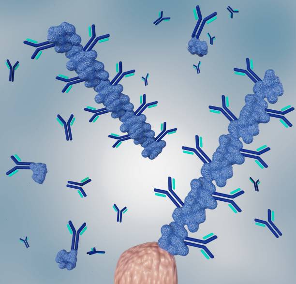 istock Poly Protein G with Detection Antibodies to enhance Immunoassays sensitivity 1470653998