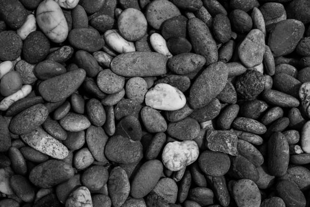 istock Pebbles stone background with black and white filter 1470654339