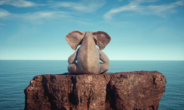 istock Elephant sitting on a rock admiring the ocean. Aspirations concept. 1470654686