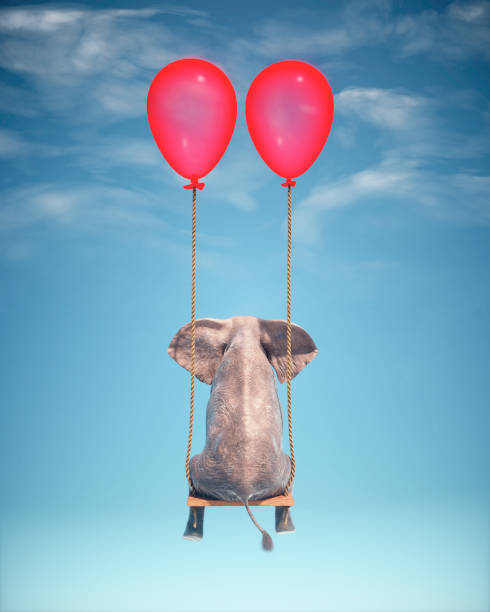 istock Elephant sitting on a swing. Freedom and happiness concept 1470654816