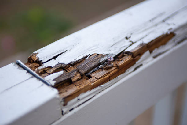 rotting hand railing on a patio - termite wood damaged rotting imagens e fotografias de stock