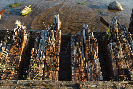 Fisherman's house in Venice lagoon