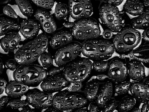 istock Black river stones texture and background. Black pebbles in water and water drop. 1470657187