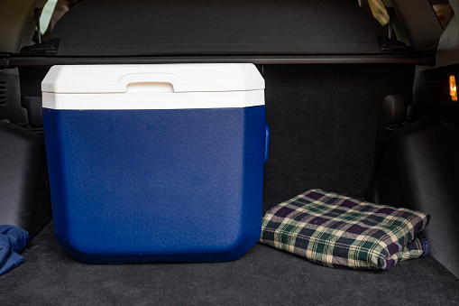 Cooler made from the plastics polypropylene, polystyrene and polyurethane