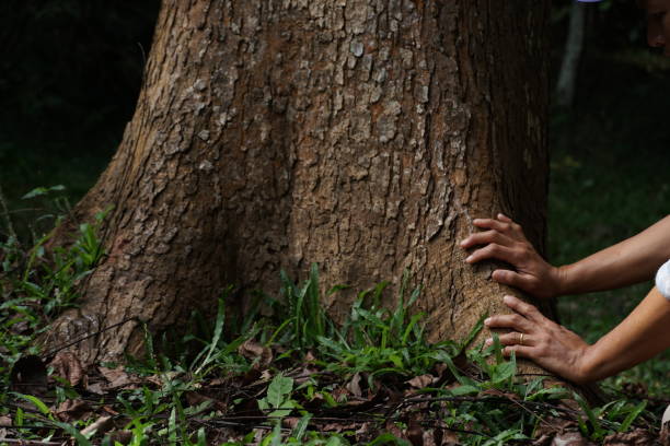 Hand touch the tree. care the earth. All people protect the environment.