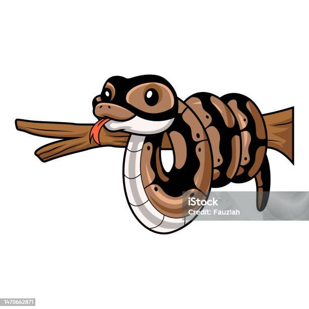 Anima Si Ular Python Kartun Ular Python Bola Lucu Di Cabang Pohon Ilustrasi Stok - Unduh ...