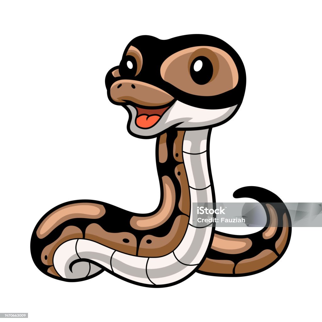 Anima Si Ular Python Kartun Ular Python Bola Lucu Ilustrasi Stok - Unduh Gambar Sekarang ...