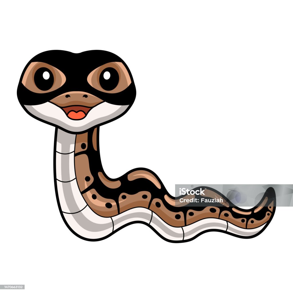 Anima Si Ular Python Kartun Ular Python Bola Lucu Ilustrasi Stok - Unduh Gambar Sekarang ...