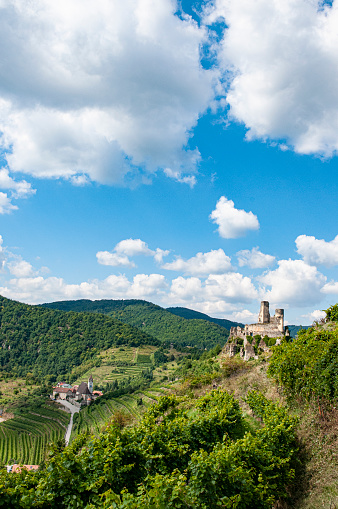 View of the ruins of Senftenberg and the parish church below. 	The village of Senftenberg is located in the wine-growing region of Kremstal in northern Lower Austria.