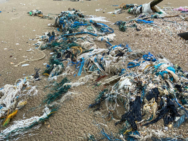 istock plastic waste and twigs on the beach 1470665986