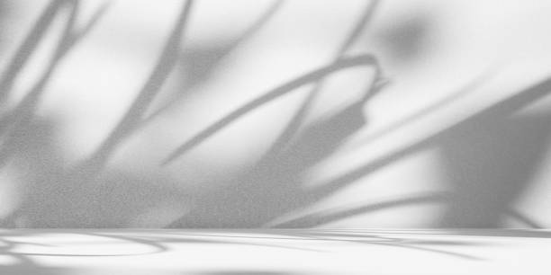 istock Shadow Overlay Abstract on Table Wall Studio Room Background,Grey Summer color Tropical with Silhouette Plant Leaves on Floor Counter Bar,Empty Design Food Kitchen Shelf Pattern Texture 1470666096