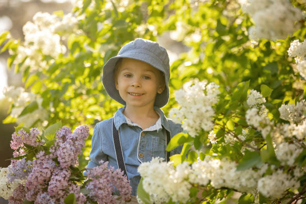 elegante bambino preshcool, ragazzo carino, godendo del cespuglio di fiori lilla nel giardino fiorito - children only tree area exploration freshness foto e immagini stock