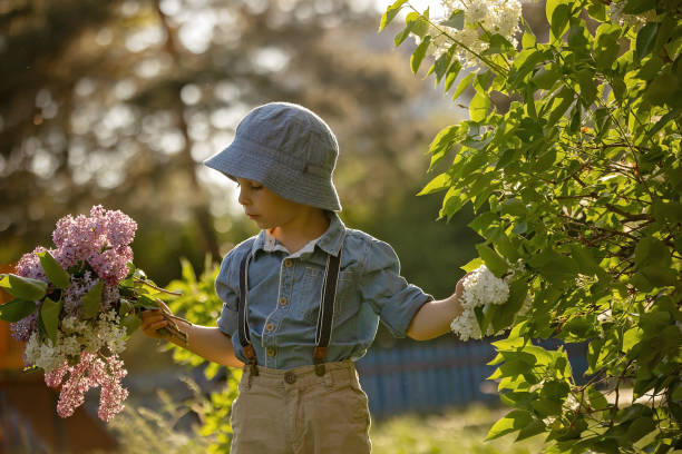 niño en edad preescolar con estilo, niño lindo, disfrutando del arbusto de flores lilas en un jardín floreciente - children only tree area exploration freshness fotografías e imágenes de stock