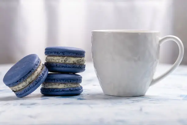 Photo of Three blue macaroons and a white cup on a light background