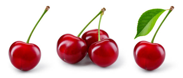 istock Cherry. Cherry with leaves on white background. Cherries with clipping path. Cherri collection full depth of field. 1470670099