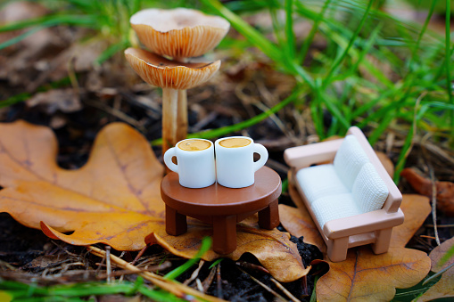 Beauty of nature and the comfort of a cozy living space all in one. Miniature furniture and coffee cups placed on pigmented leaves by fresh mushrooms in the woods.