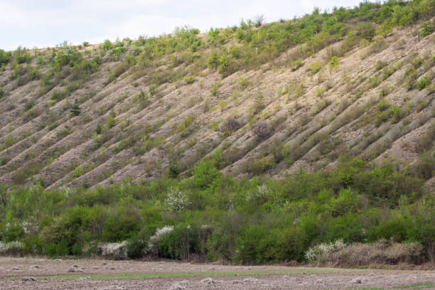 View ravine covered with greenery. Landscape valley with geological faults. Earthen mountains and bumps relief on against sky. Hill beam with protrusions and recesses. Grass and trees on slope canyon
