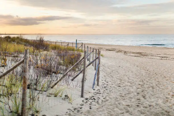 Photo of Baltic sea beach near Gdansk. Wooden fence on the beach.