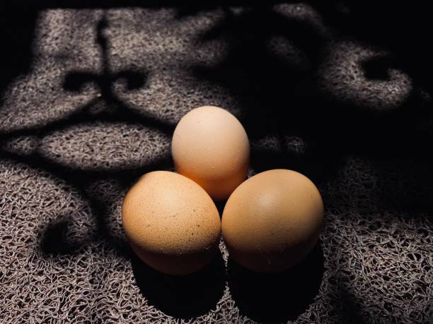 eggs in the sun