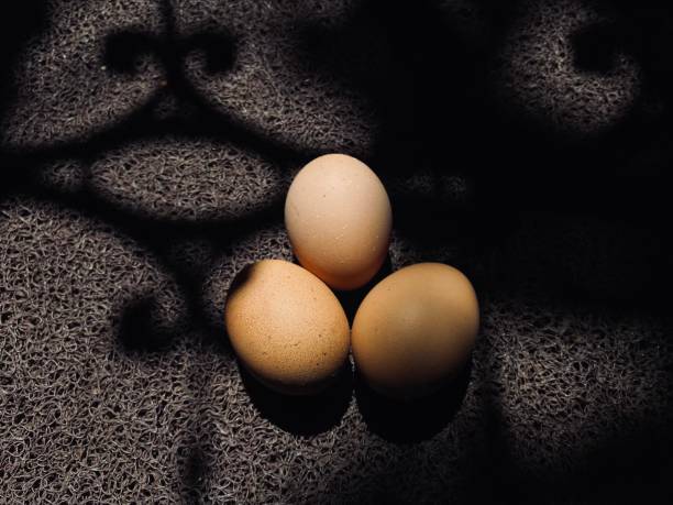 eggs in the sun