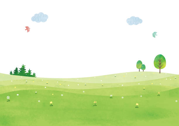 illustrazioni stock, clip art, cartoni animati e icone di tendenza di acquerello del paesaggio di colline e alberi tranquilli - hill grass park sky