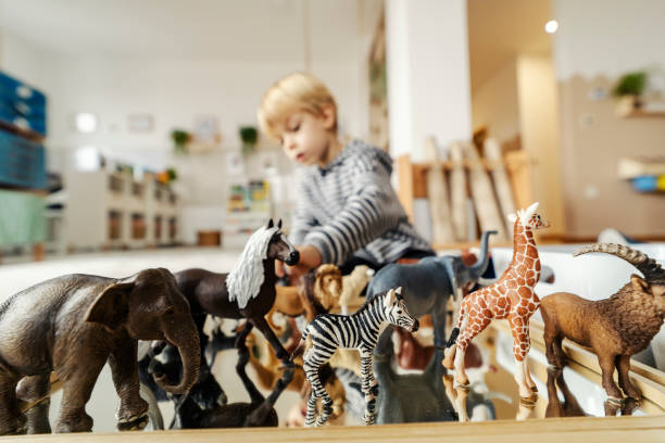 istock Selective focus on animals with a little boy playing with them in a blurry background at montessori kindergarten. 1470681749