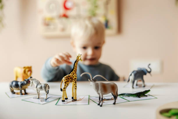 istock Selective focus on wild animals with kindergartener playing with it and learning. 1470681846