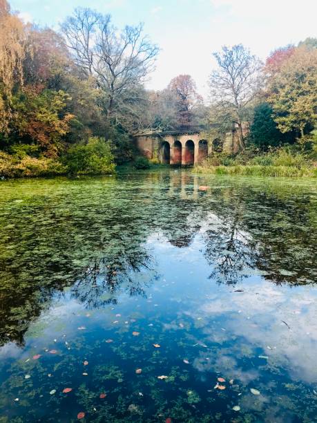 istock Arch bridge over lake against sky in Hampstead Heath 1470681871