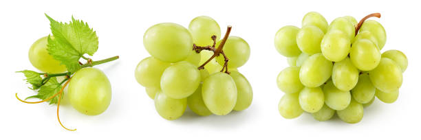 istock Green grape isolated. Fresh green grape with leaves on white background. Grape bunch collection. Full depth of field. 1470681936