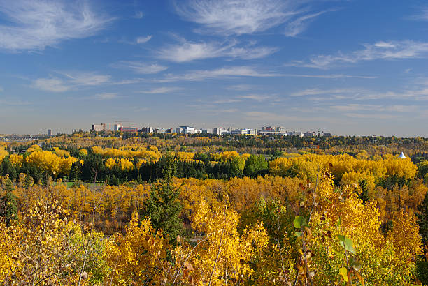 Green and Gold University of Alberta