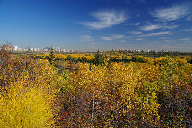 Edmonton in Autumn stock photo