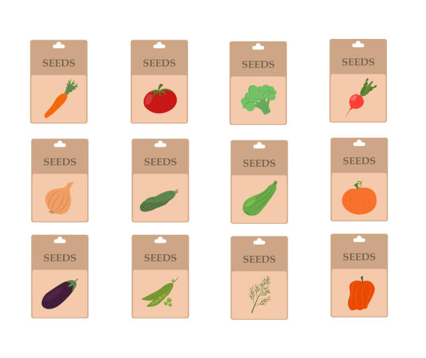 ilustrações, clipart, desenhos animados e ícones de conjunto de sementes de vegetais pacotes ilustração de aquarela isolada no fundo branco. sementes de hortaliças embalam a coleção de aquarela. - seed packet