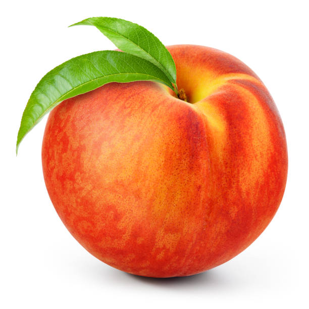 istock Peach isolated. Peach with leaves on white background. One peach fruit with clipping path. Full depth of field. 1470688095