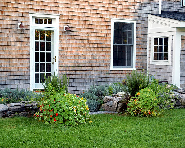 istock Nasturtiums in flower pots 147068814