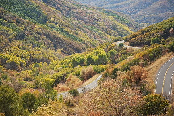 istock Two Lane Road through the Fall Colors 147068984