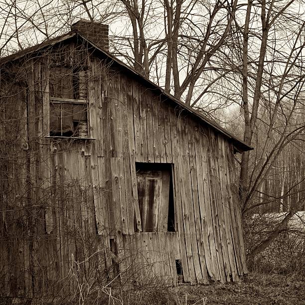 istock Abandoned Homestead Facade 147069482