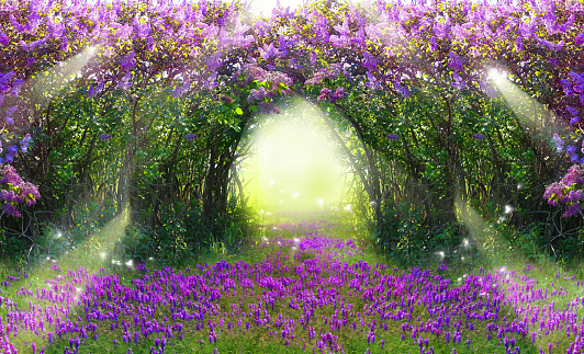 Fantasy background . Magic forest with road.Beautiful spring landscape.Lilac trees in blossom. Sun rays through tree leaves.